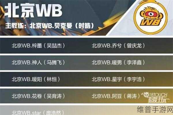 王者荣耀北京WB战队2022年成员深度解析与攻略数据