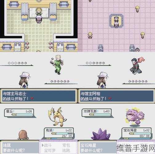 口袋妖怪火红版，全面解析携带道具使用攻略