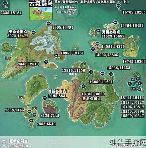 创造与魔法，云斑鹦鹉饲料全解析