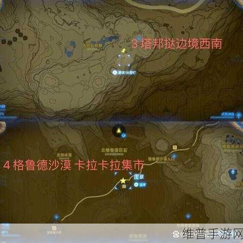 塞尔达传说 智慧的再现格鲁德圣域宝箱全攻略