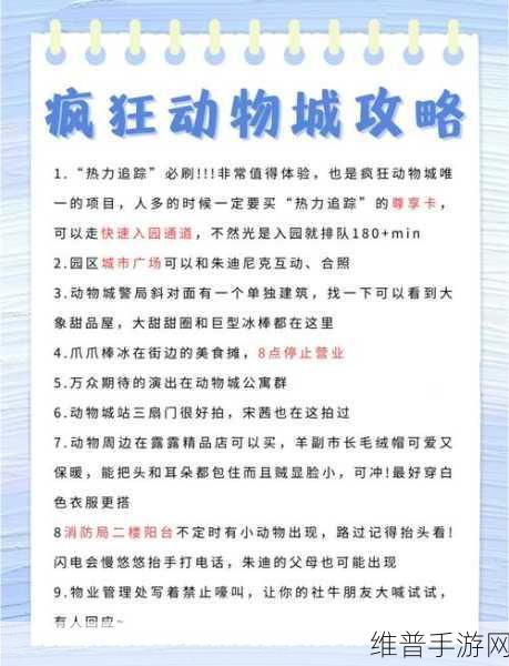 动物迷城，成功前往医院的秘籍指南