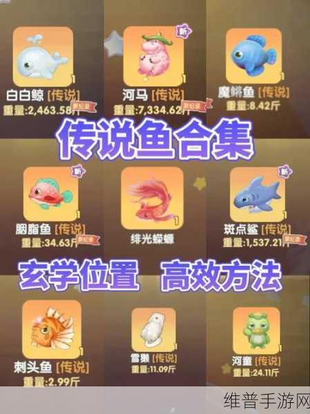 摩尔庄园手游传说鱼全攻略，揭秘11种神秘鱼类