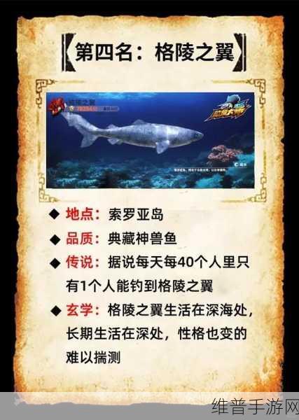 欢乐钓鱼大师，称号鱼钓取秘籍大公开