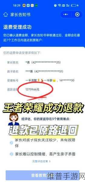 王者荣耀充值退款全攻略，如何高效追回误充金额