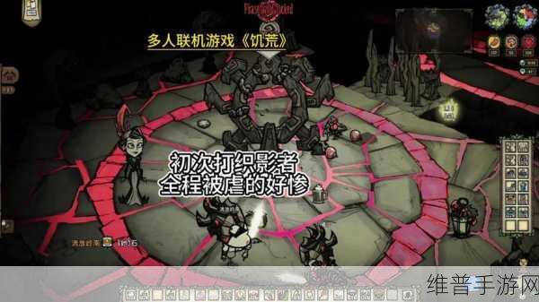 饥荒联机版深度攻略，揭秘月亮裂隙的奥秘