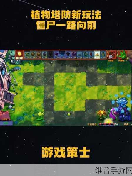 植物大战僵尸，策略与趣味交织的塔防游戏盛宴深度解析