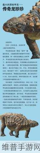 龙之谷探秘，揭秘八条神秘巨龙的传奇身世
