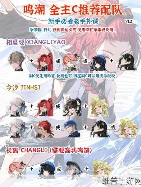 鸣潮洛可可最强配队阵容深度解析
