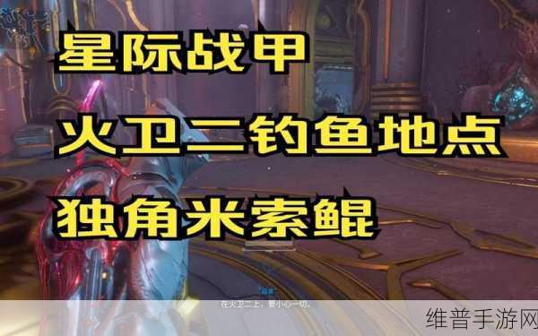 星际战甲深度攻略，揭秘管状鳃系统的获取之道