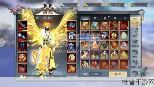 武林外传手游深度攻略,御风神行活动全解析