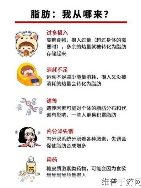 蚂蚁庄园攻略，运动与脂肪消耗的科学解析