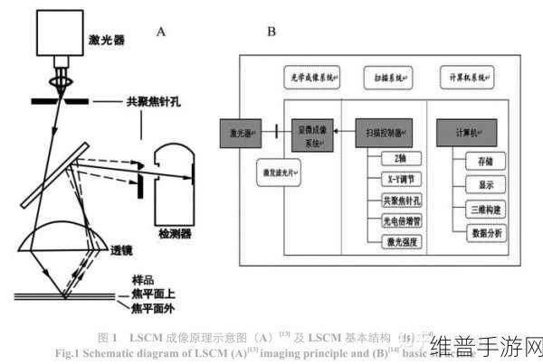 手游攻略数据深度解析，共聚焦激光显微镜使用注意事项在游戏研发中的应用