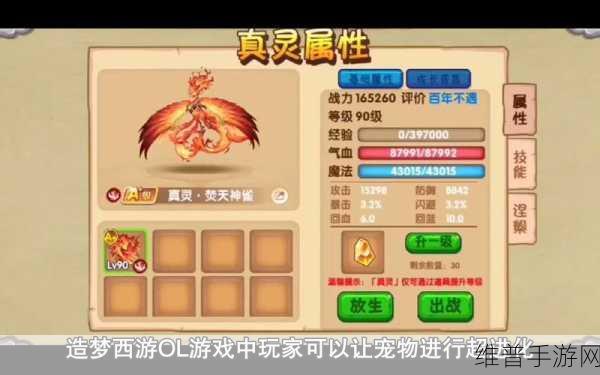 造梦西游OL宠物战力排行，揭秘最强宠物之选