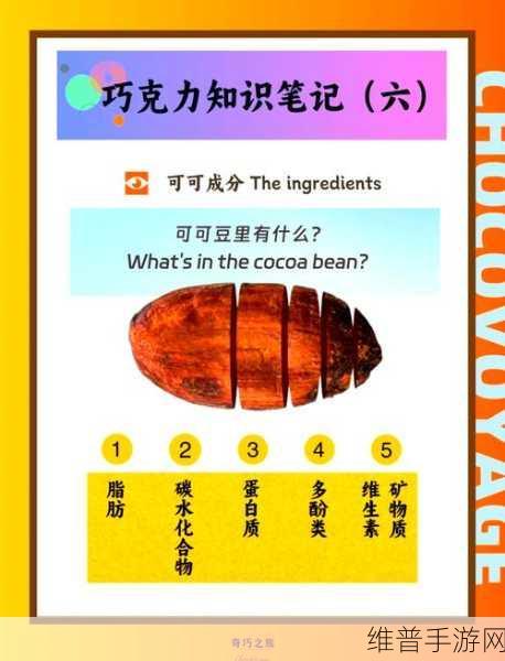 创造与魔法，可可豆的神奇用途全解析