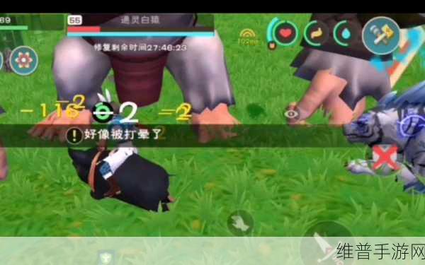 创造与魔法，可可豆的神奇用途全解析