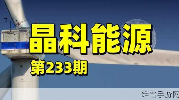巴西企业家手游攻略,晶科能源之旅与光伏行业的跨界启示