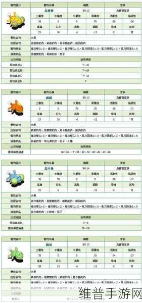 石器时代2宠物快速升级与训练全攻略，揭秘资源管理的高效艺术