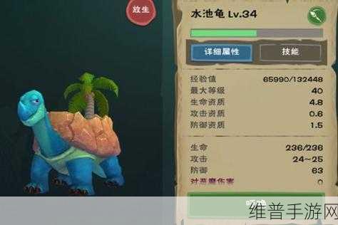 创造与魔法5级龟饲养攻略，揭秘乌龟饲料制作秘籍
