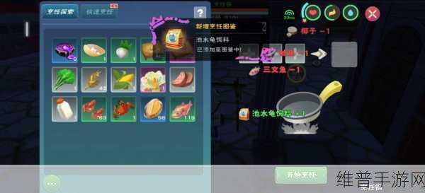 创造与魔法5级龟饲养攻略,揭秘乌龟饲料制作秘籍