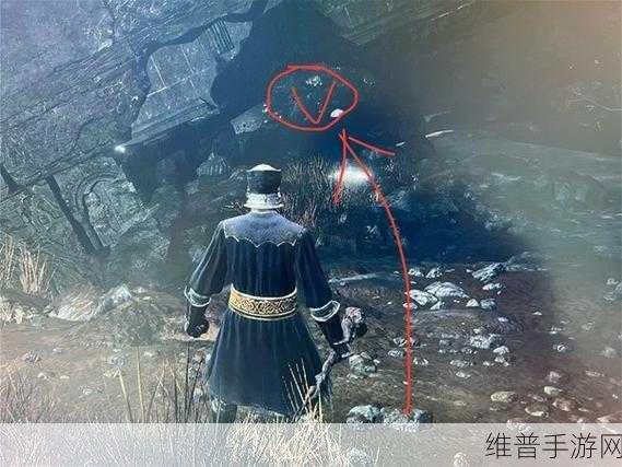 艾尔登法环DLC深度攻略，黄金树幽影中托莉娜暗剑的获得方法