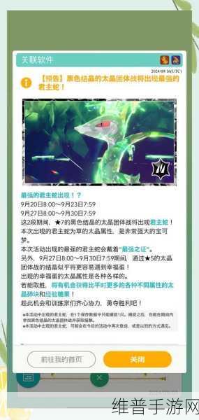 航海王强者之路,2024全新巨蛇阵容搭配策略与实战分享
