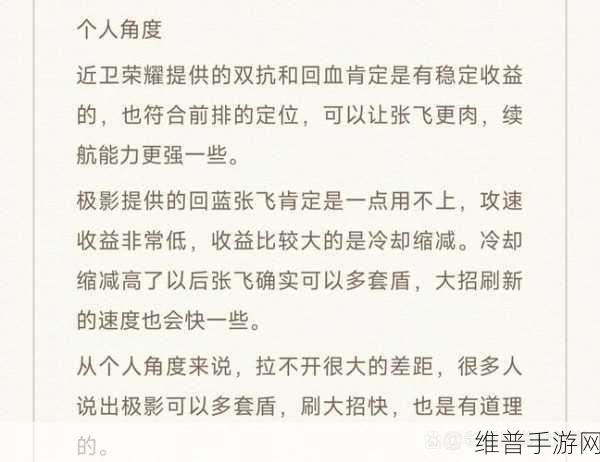 王者荣耀张飞专精装深度玩法解析