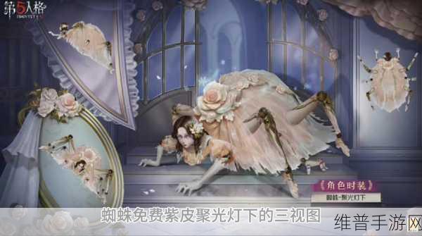 第五人格蜘蛛怎么得介绍，全面攻略与深度解析