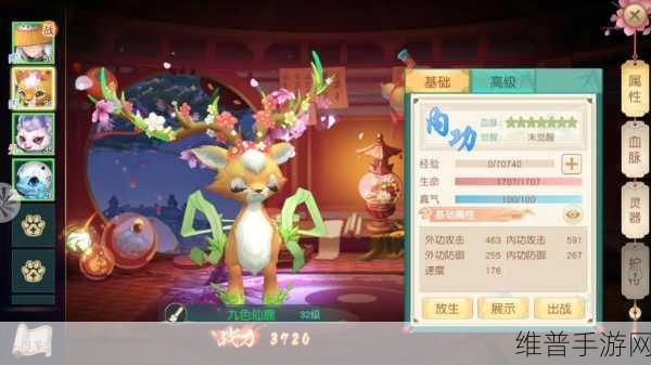 神雕侠侣 2 手游宠物更换全攻略