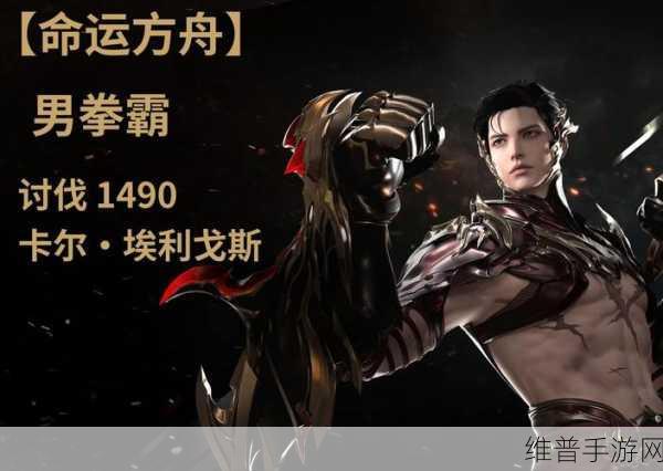 命运方舟斗魂与拳霸,详细选择攻略分享