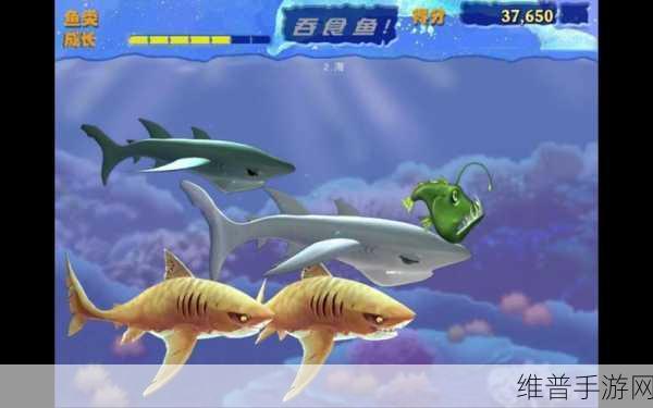 掌握吞食鱼 2 技巧，畅游神秘海底世界