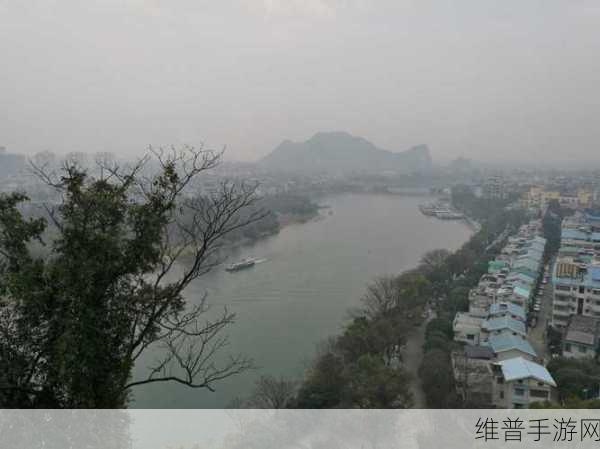 天下 3 加点秘籍，解锁最大化收益策略