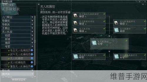 EVE宇宙深度探索，特殊资源获取与升级策略全解析