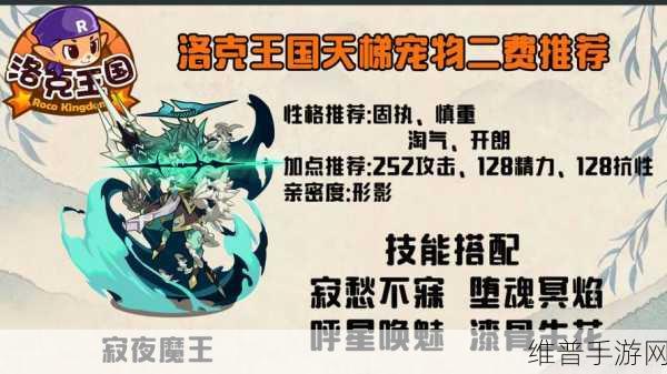 洛克王国通天塔第20层深度攻略，解锁战斗智慧，征服冰雪之巅