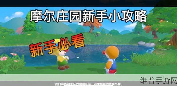 摩尔庄园优质玉米丰收秘籍