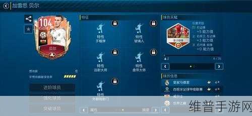未来足球手游，全面解析球员获得方法一览
