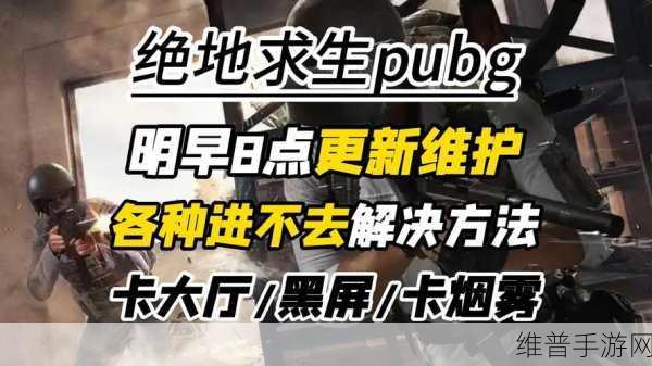 绝地求生手游黑屏问题全攻略，轻松解决黑屏困扰