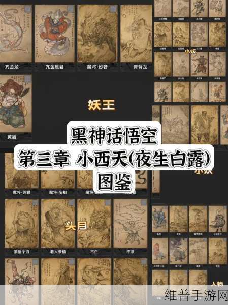 黑神话悟空三清令效果全解析
