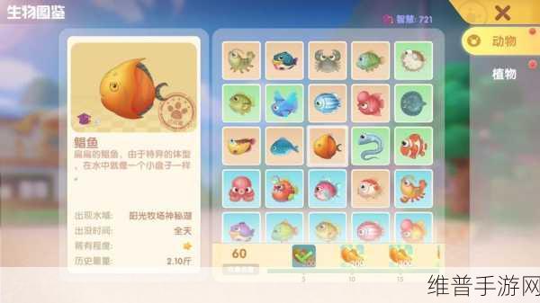 摩尔庄园手游龙蛋孵化秘籍大公开