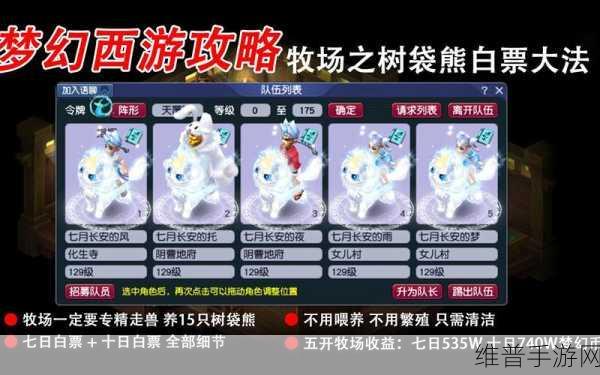梦幻西游手游树袋熊不加寿命的产出奥秘