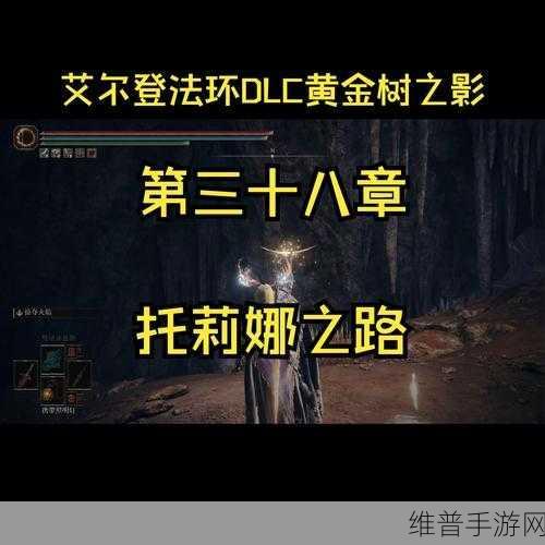 全面解析艾尔登法环游戏中托莉娜烛火的高效获取方法与技巧