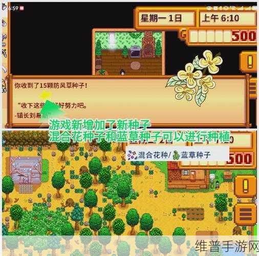 星露谷物语中修改性别错误的全攻略