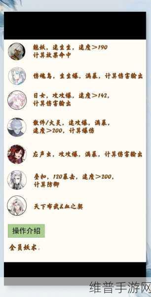 阴阳师极光漩流全自动挂机阵容配置深度分享
