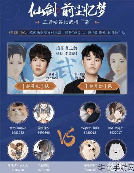 王者荣耀攻略，揭秘李逍遥皮肤价格与获取方式