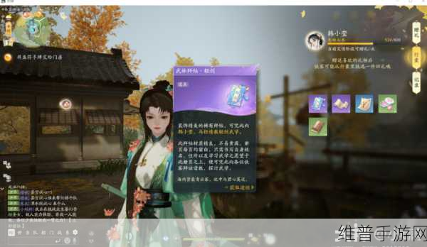 射雕手游深度攻略，解锁韩小莹心仪礼物的秘密
