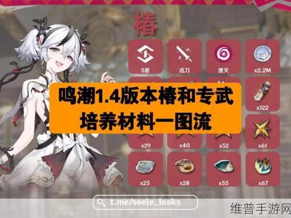 鸣潮手游清芬鱼汤制作全攻略