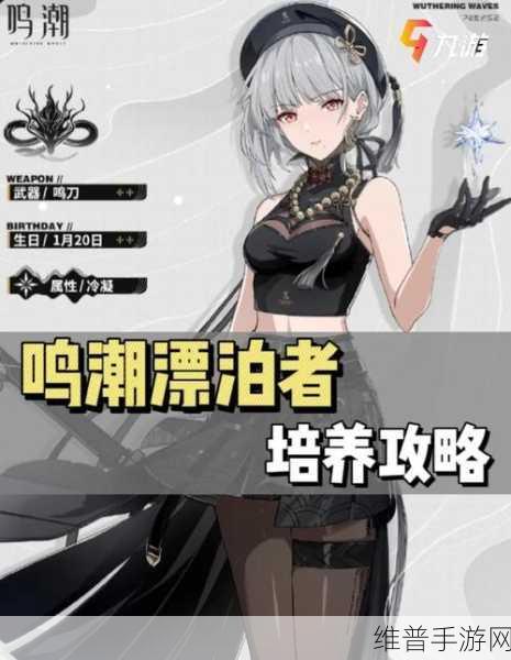 鸣潮漂泊者技能全解析，掌握漂泊者的战斗艺术