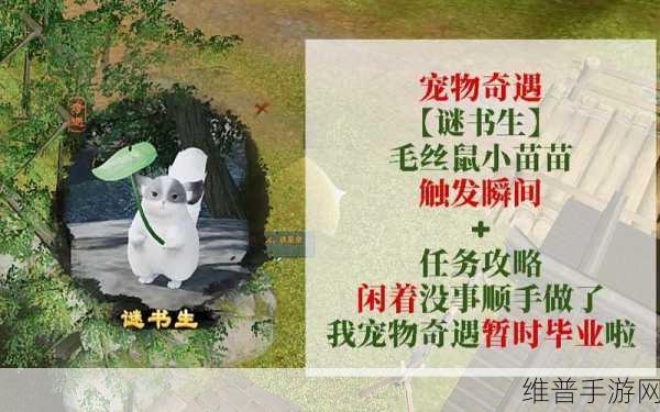 剑网 3谜书生宠物奇遇全攻略指南