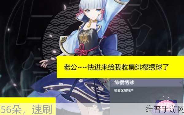 原神神里绫华突破必备，绯樱绣球高效获取与资源管理策略