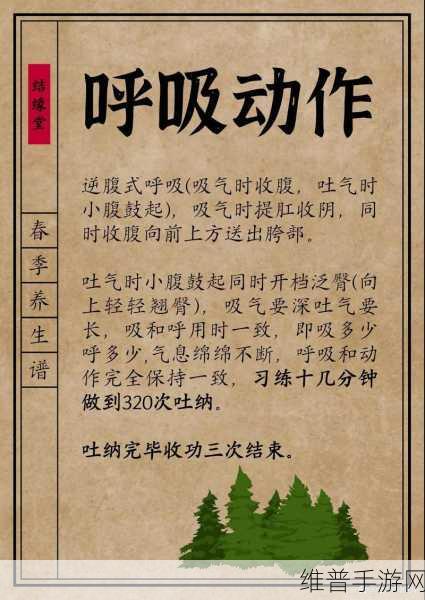 武侠乂中吐纳心法的深度剖析与效果详解