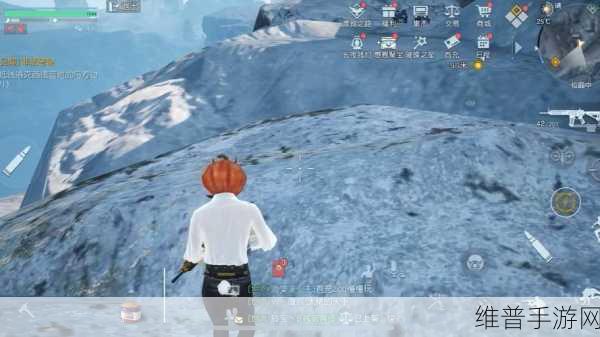 黎明觉醒,探寻支线任务中密码箱之谜